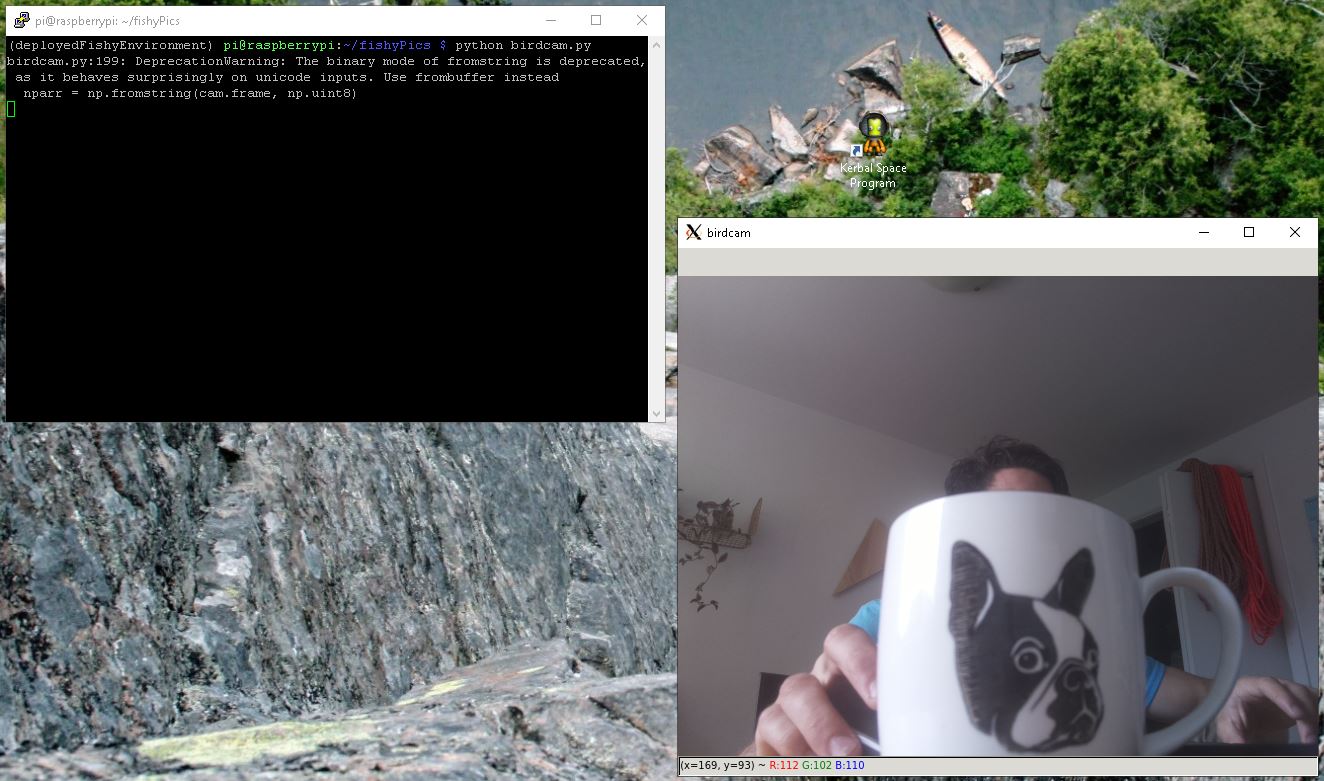 birdcam.py drawing it's window on my desktop. Free plug for Kerbal Space Program because it's awesome.
